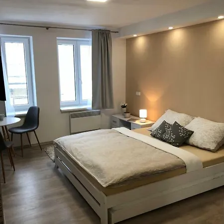 Apartman U Zlate Hroudy Zlate Hory Exterior photo