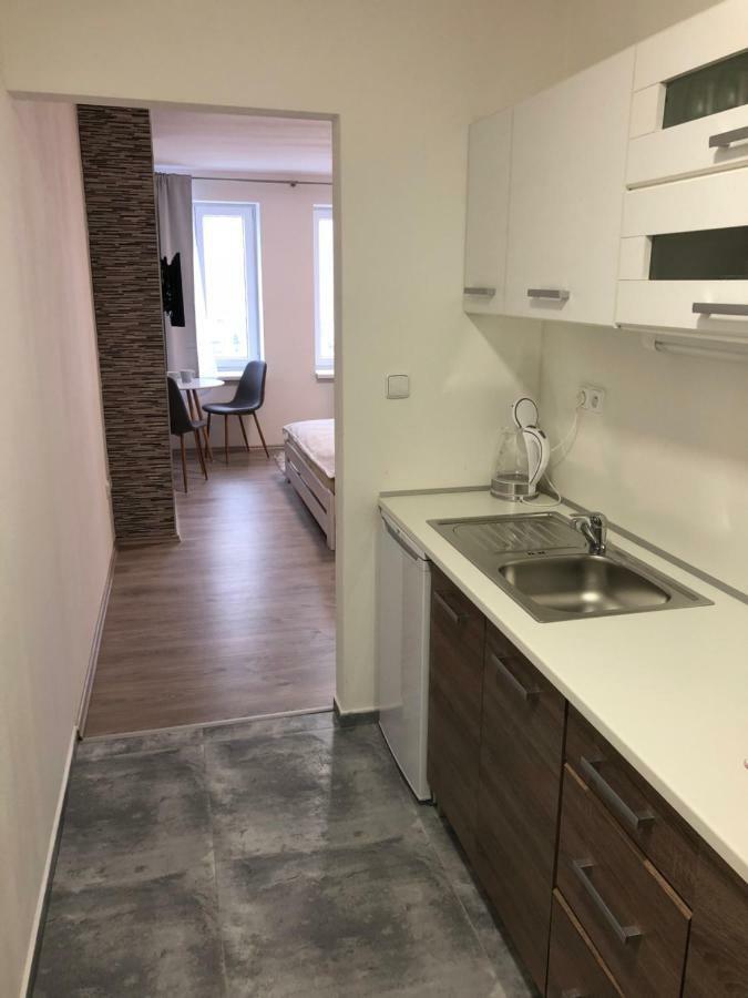 Apartment U Zlate Hroudy *