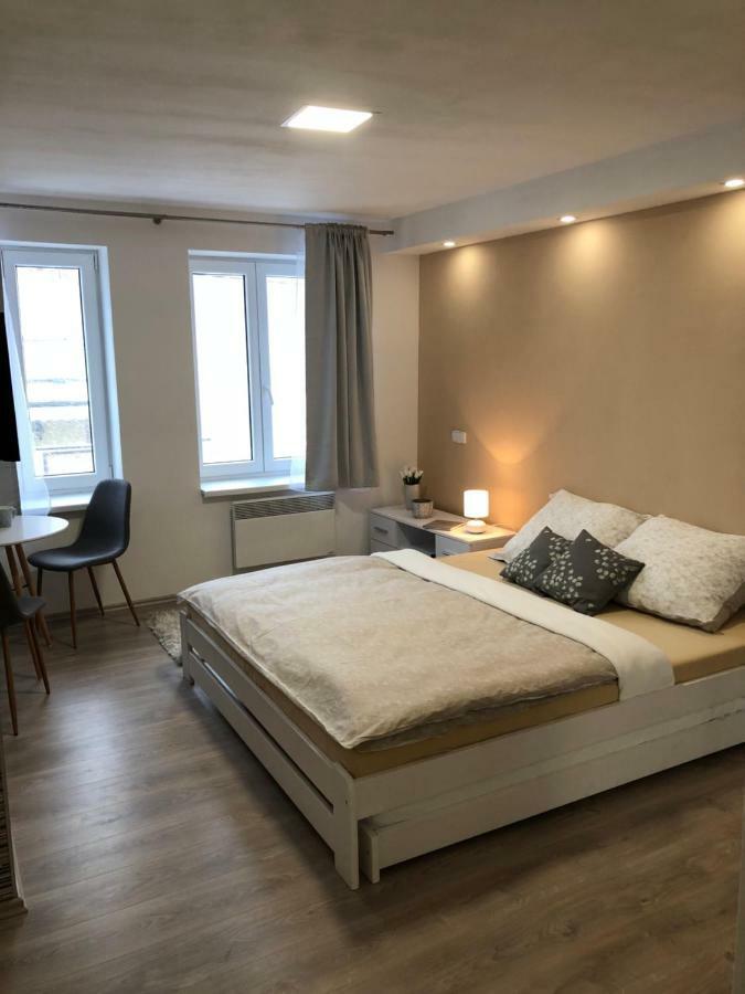 Apartment U Zlate Hroudy *